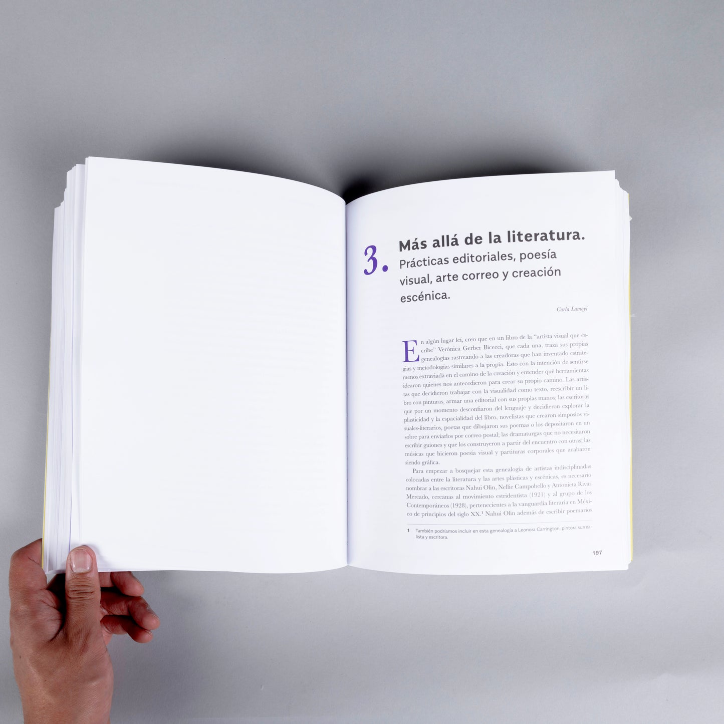 Coordenadas Móviles: Redes de colaboración entre mujeres en la cultura y el arte (1975-1985)