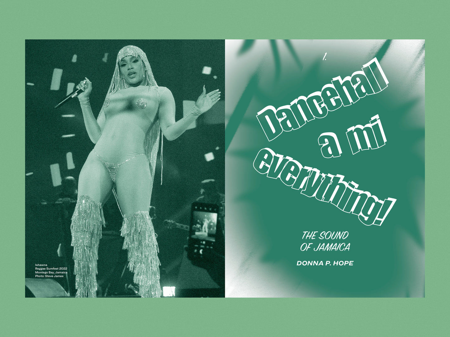 Dancehall Queen: Erotic subversion / Subversión Erótica