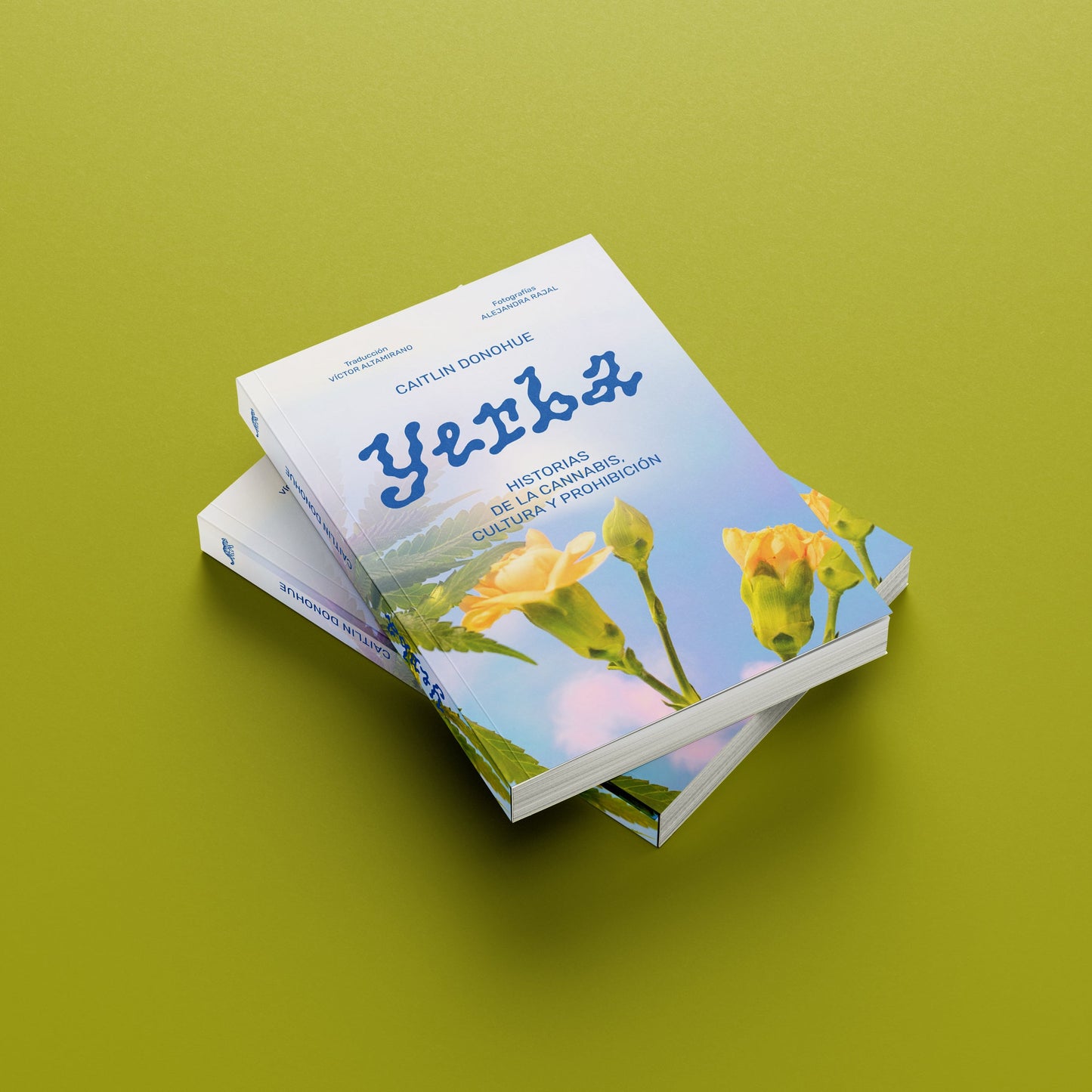 Yerba. Historias de la cannabis, cultura y prohibición